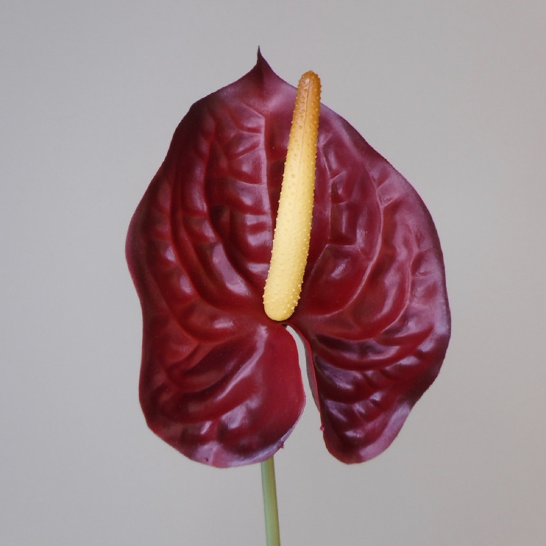 Artificial Anthurium Burgundy Red 70cm | Artificial Flowers